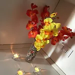 I Tre Colori Della Sicilia
